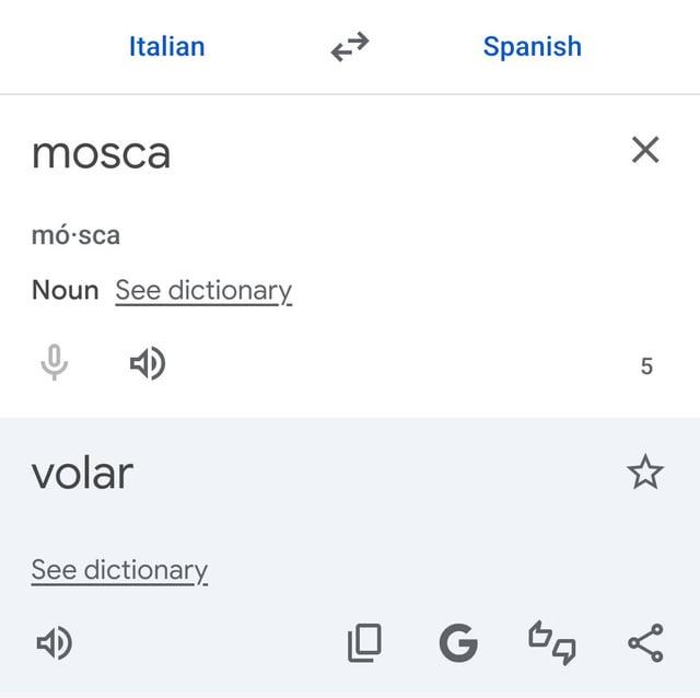 "Mosca", del italiano, traducido al español como "volar".